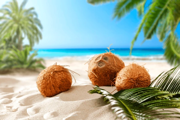 coconuts-beach